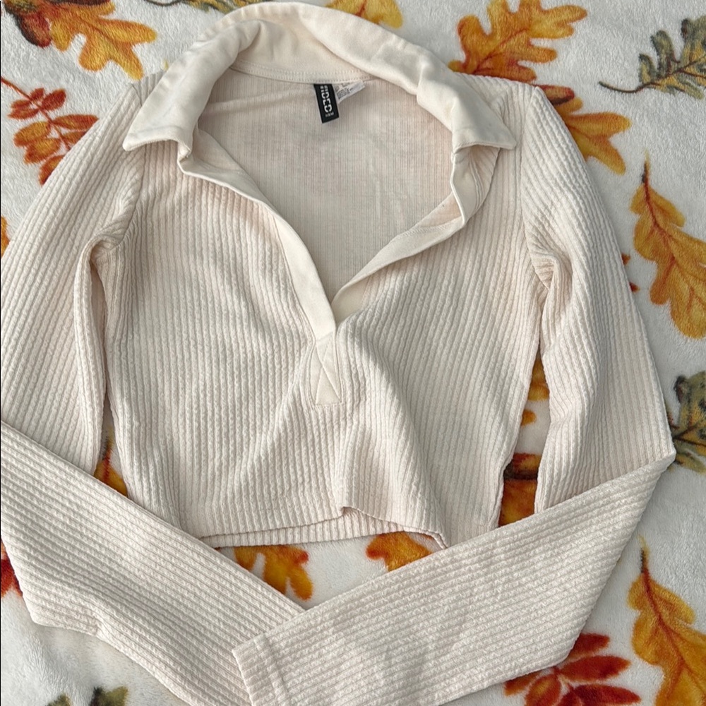 Long sleeve crop top